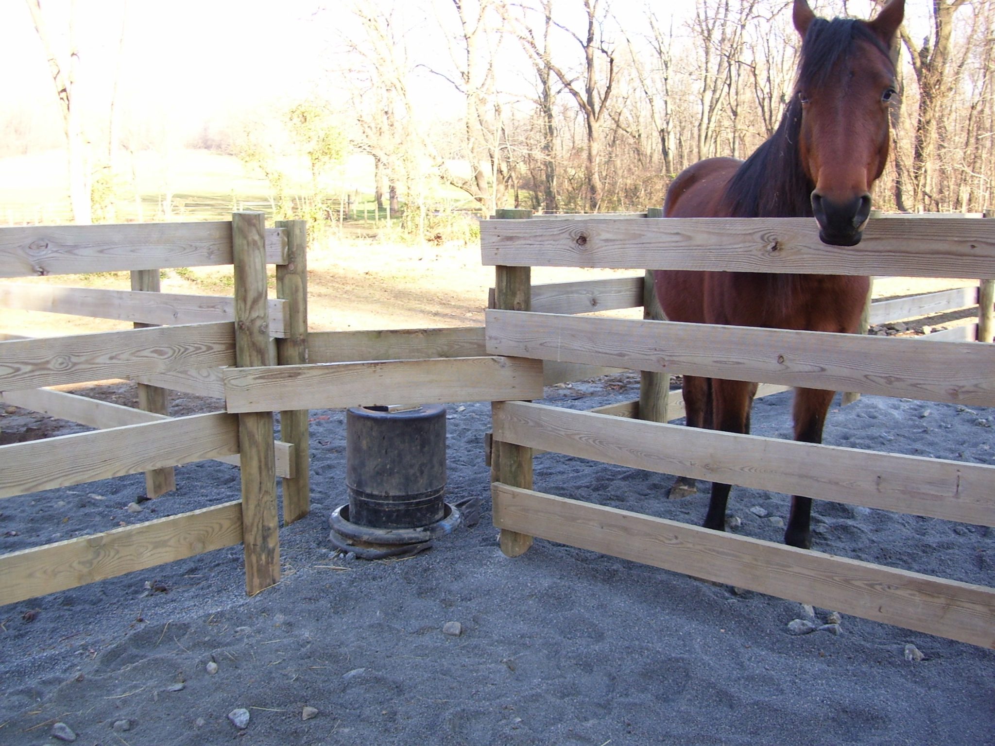 Spring’s On Its Way — Time to Think About Installing Bar Bar A spring Bar Bar A Automatic Horse Waterer Utah