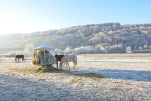 4 Ways to Prevent Winter Weight Loss 4 Ways to Prevent Winter Weight Loss
