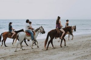 5 Horse Riding Safety Tips 5 Horse Riding Safety Tips