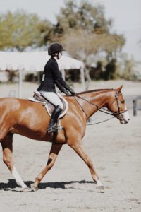 How to Learn to Ride a Horse How to Learn to Ride a Horse