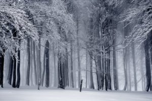 Common Winter Problems your Horse May Face Common Winter Problems your Horse May Face