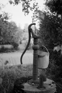 The Importance of Water for Horses The Importance of Water for Horses