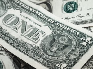 Can You Save Money With A Horse Drinker? Can You Save Money With A Horse Drinker?