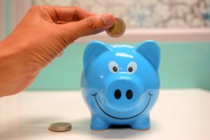 How to Save Money When you Own a Horse How to Save Money When you Own a Horse