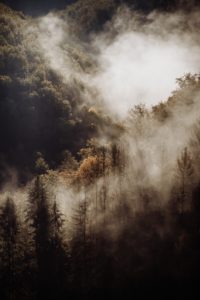 Wildfire Danger and your Horses Wildfire Danger and your Horses