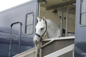 Important Maintenance for your Horse Trailer Important Maintenance for your Horse Trailer