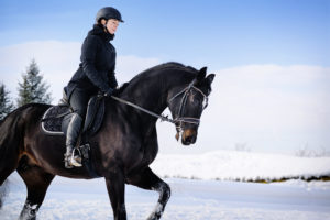 9 Useful Tips For Exercising Your Horse In Winter 9 Useful Tips For Exercising Your Horse In Winter