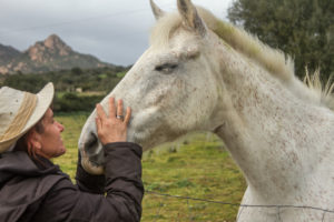 8 Great Horsey New Year’s Resolutions To Consider