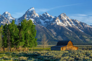6 Useful Tips To Start Your Own Homestead