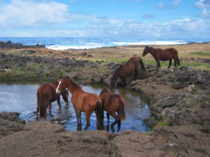 7 Common Livestock Illnesses From Dirty Water And What You Can Do
