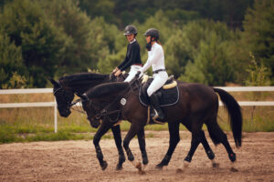 Helpful Trail Riding Tips: Part 2 Helpful Trail Riding Tips: Part 2