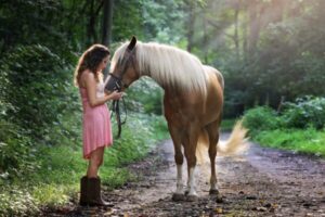 First Time Horse Ownership: Important Ways To Be A Responsible Horse Owner