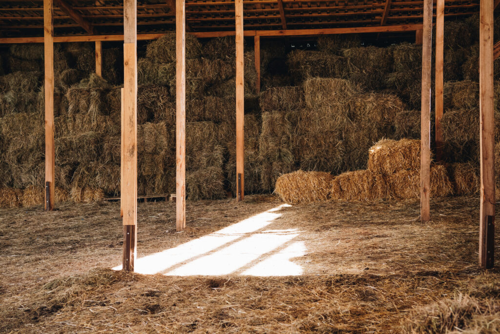 4 Important Ways To Prep Your Stable For Winter prep your stable for winter