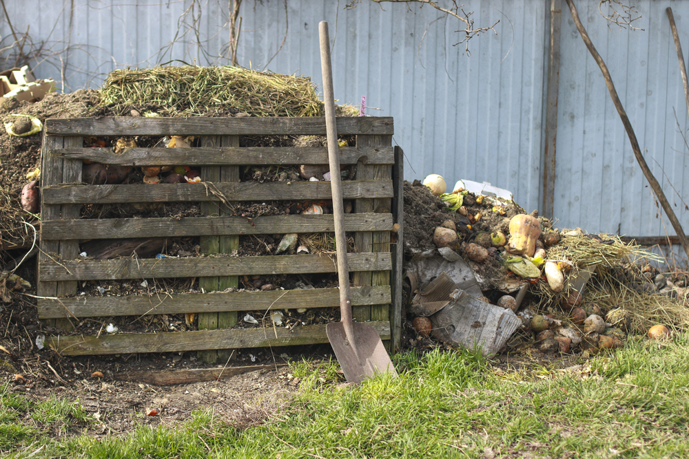 off the grid horse care