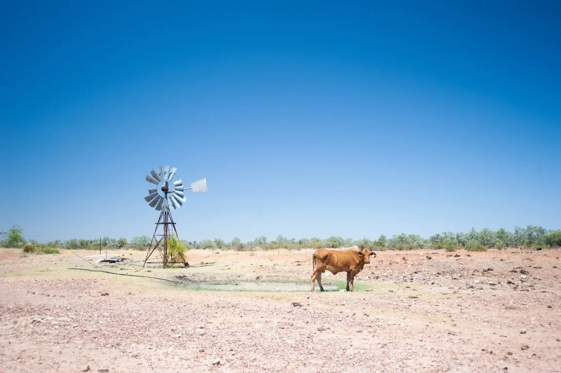 Watering Livestock During Drought Conditions